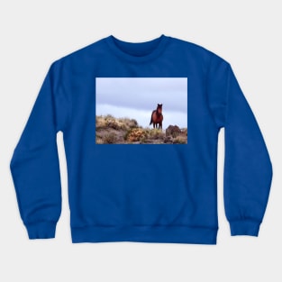 Wild Horses, Mustangs, Western Knight Crewneck Sweatshirt